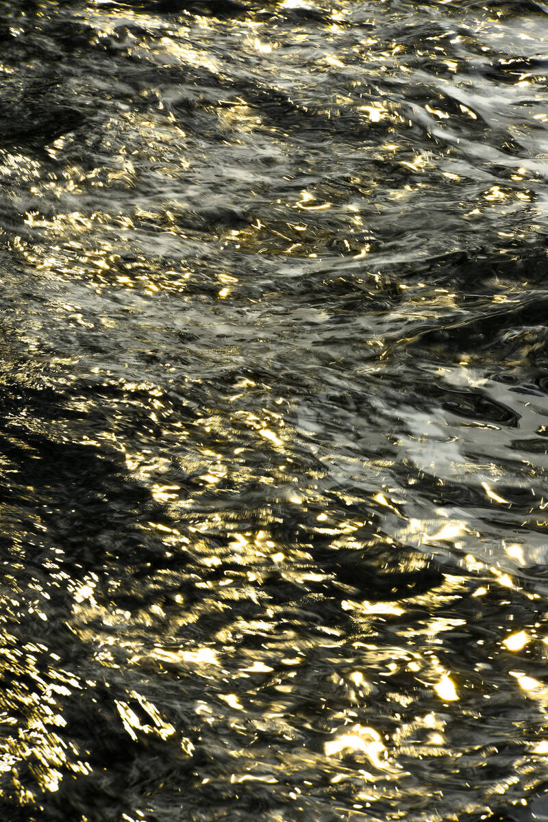 Shining Spirit of Water 水之灵