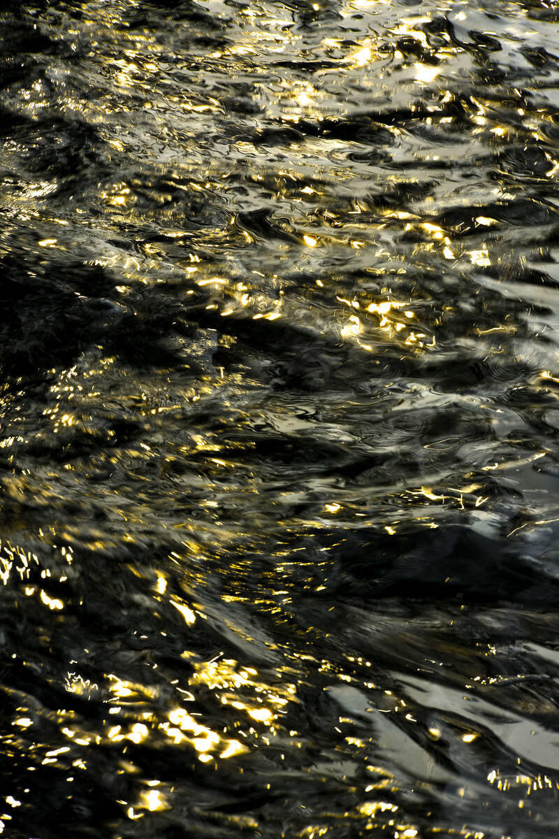 Shining Spirit of Water 水之灵