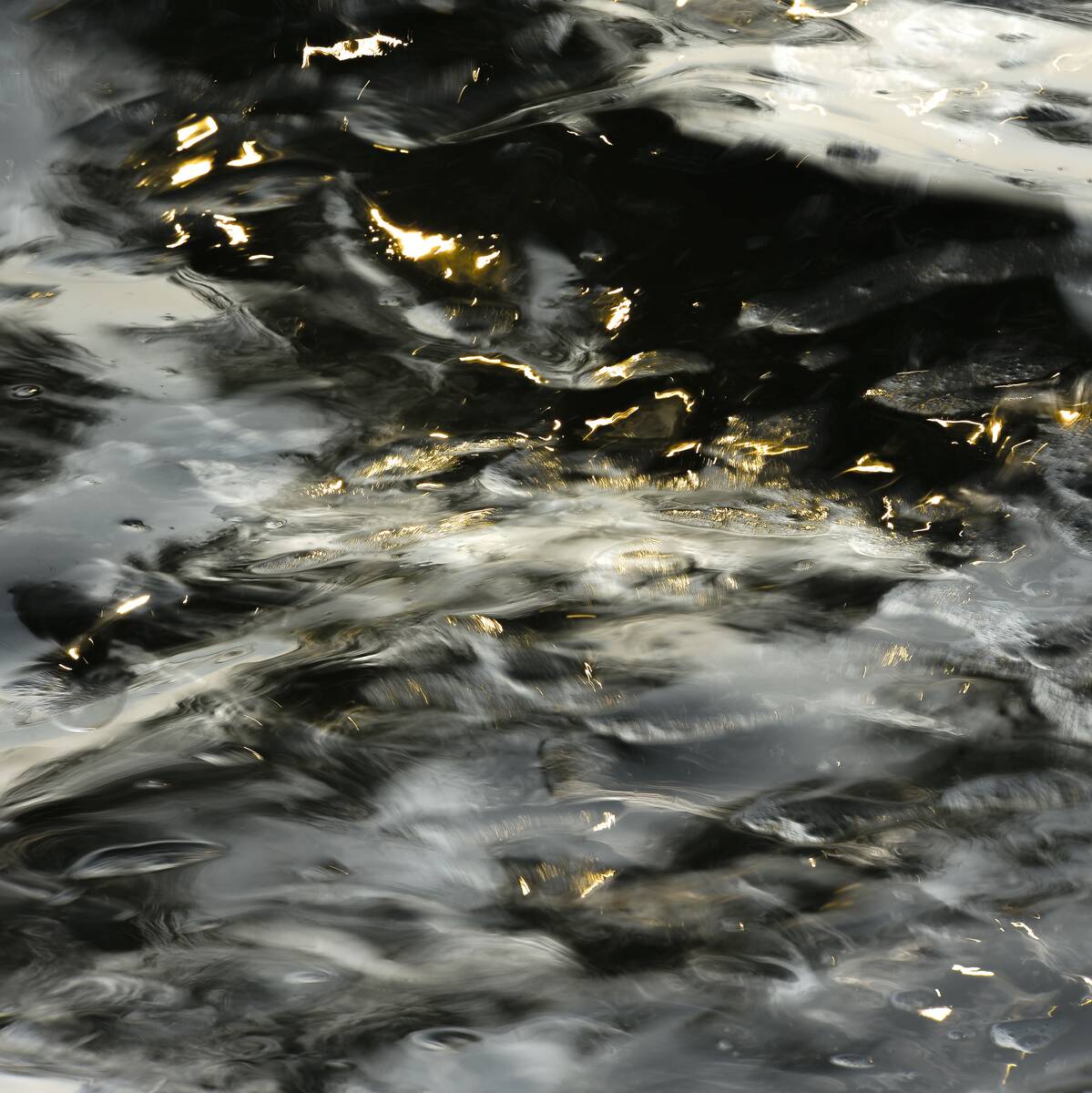 Shining Spirit of Water 水之灵