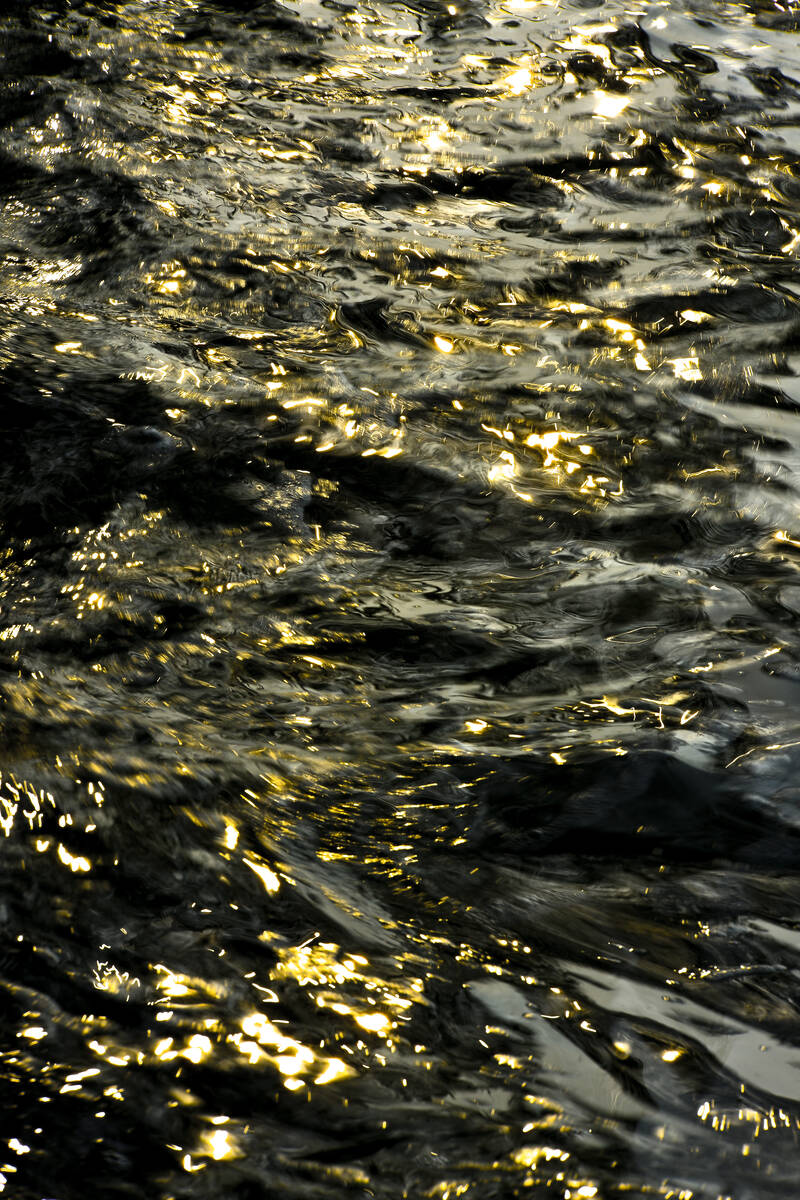 Shining Spirit of Water 水之灵