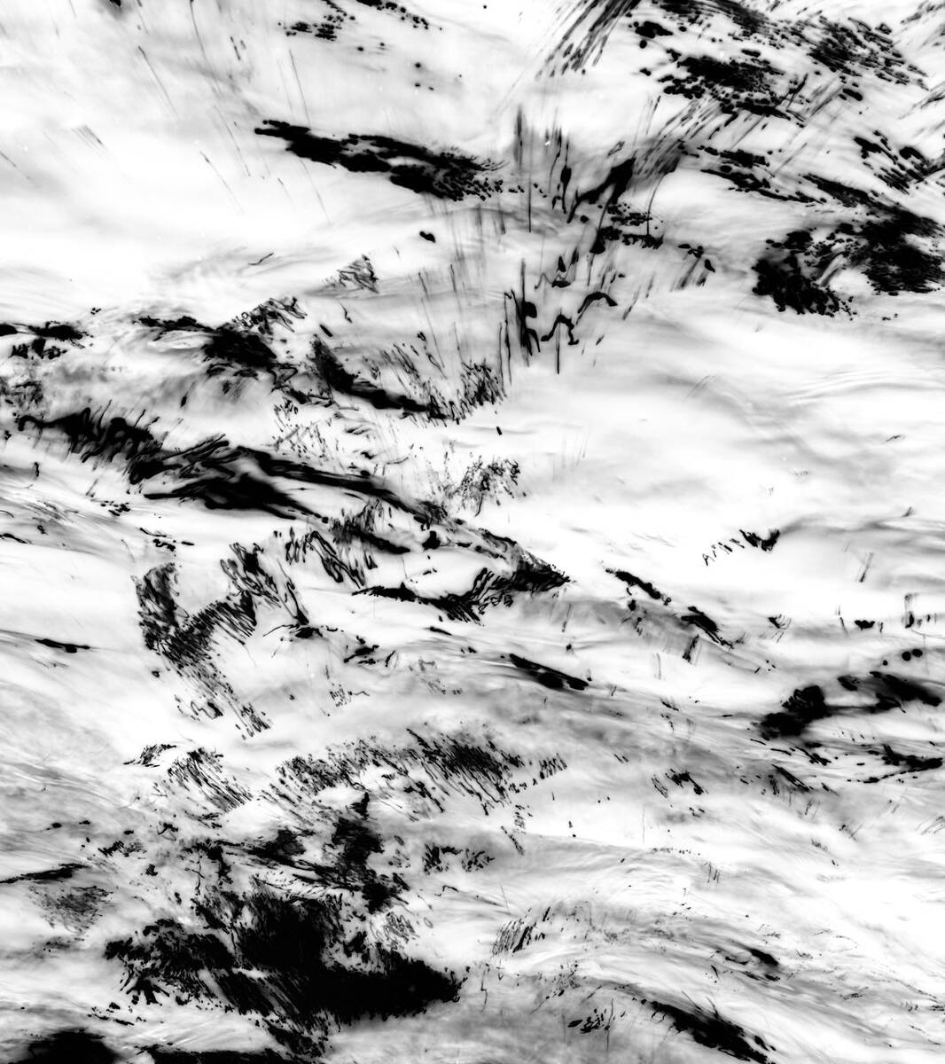 Inkscapes 自然在作画