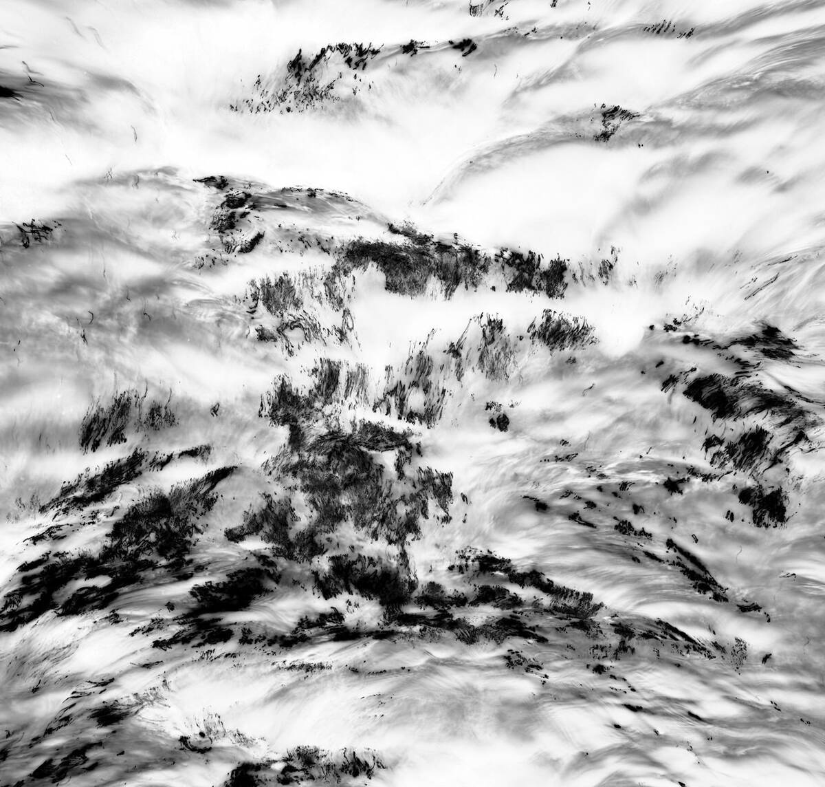 Inkscapes 自然在作画