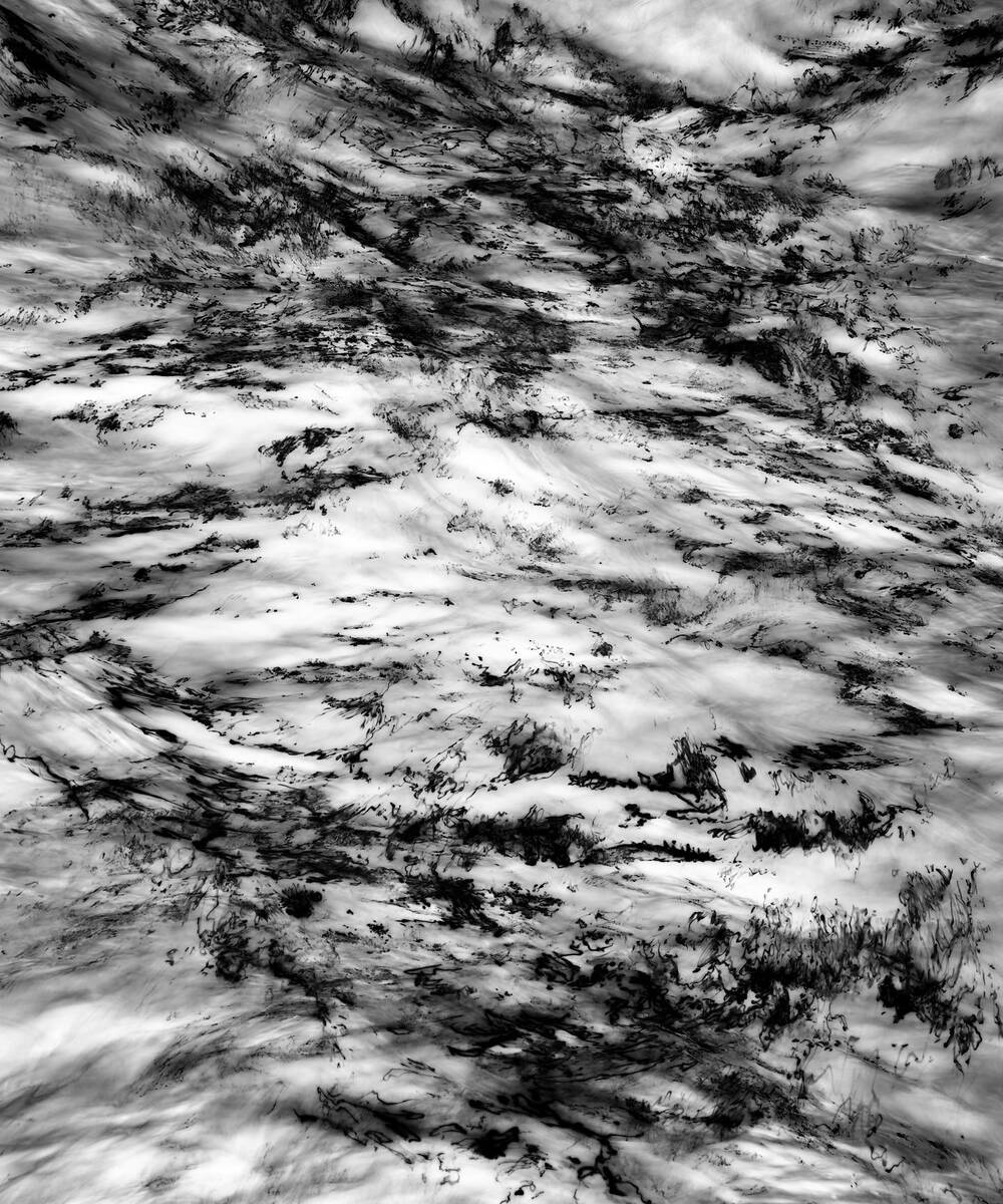 Inkscapes 自然在作画