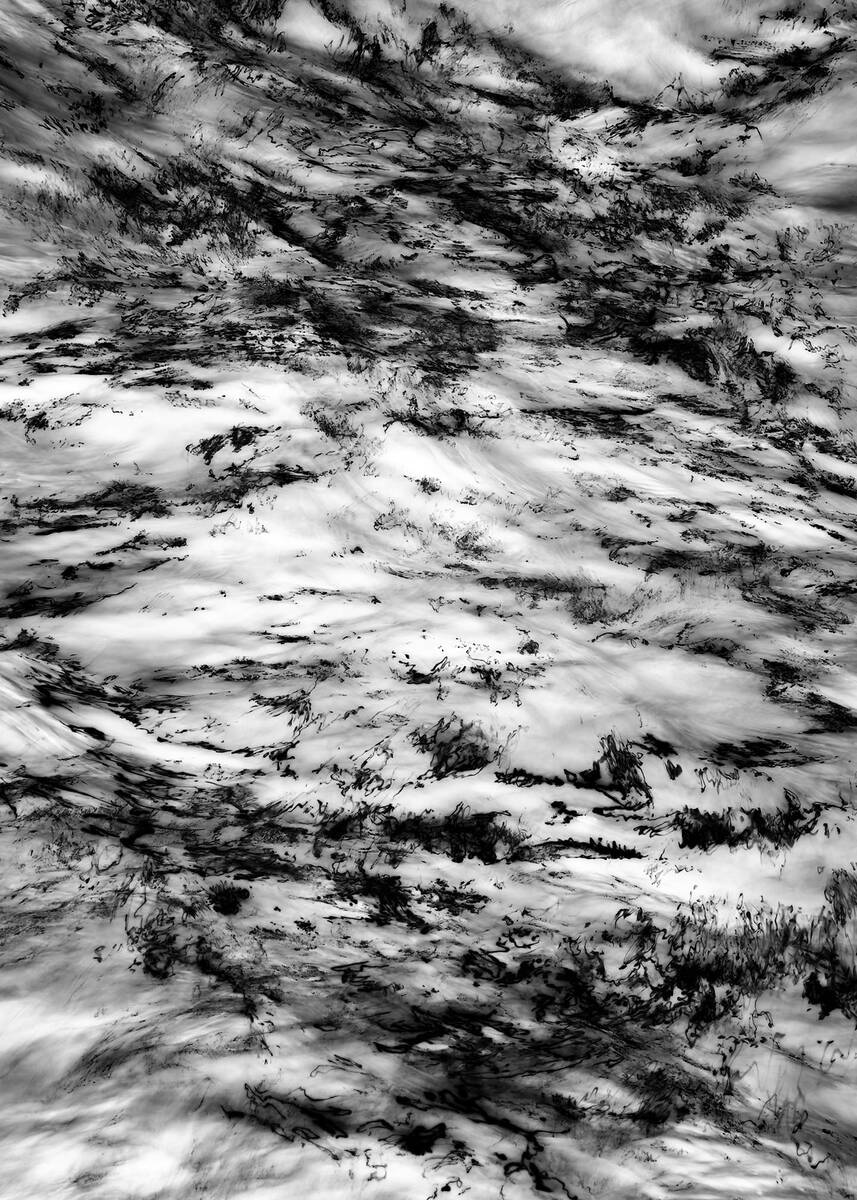 Inkscapes 自然在作画