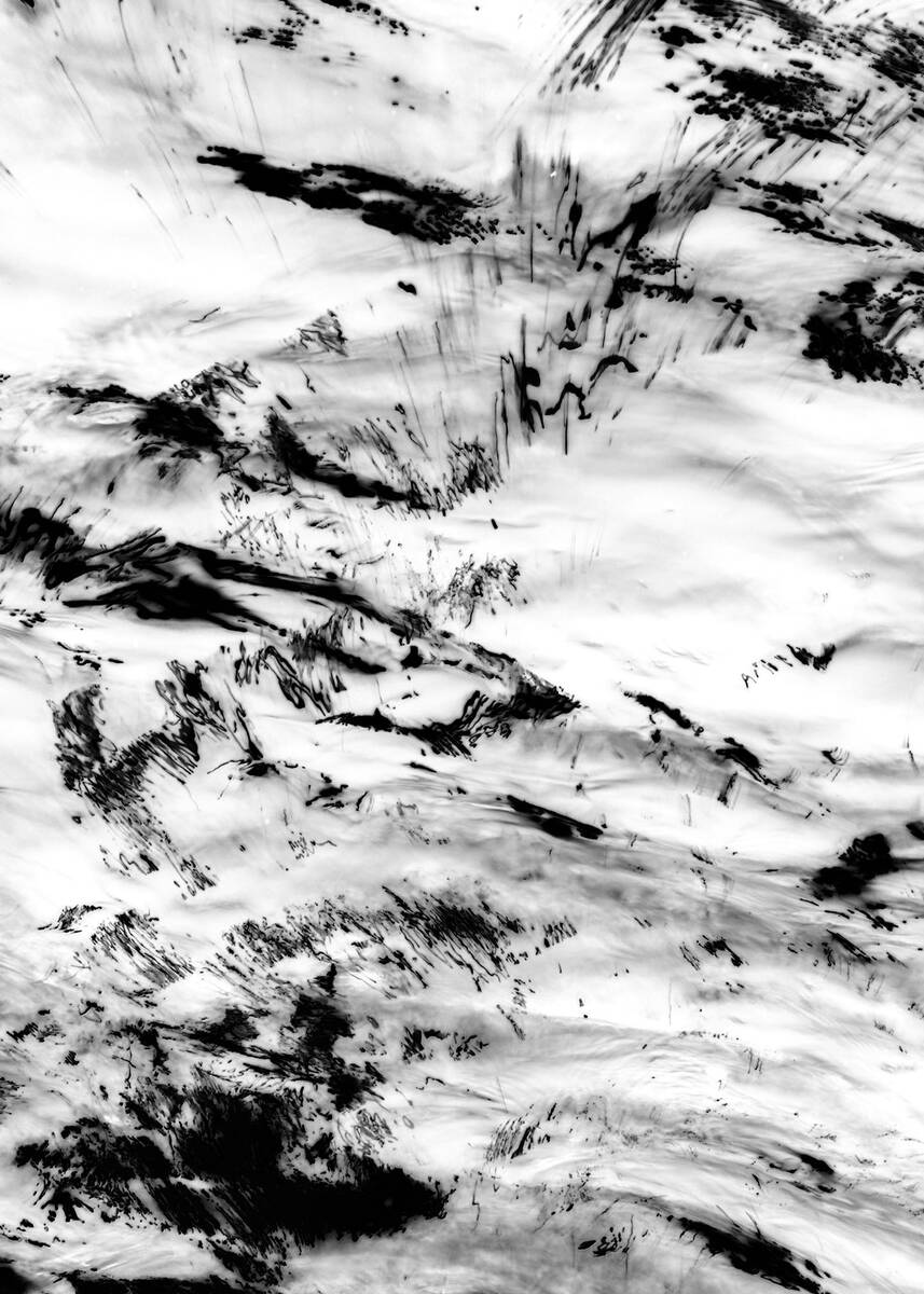 Inkscapes 自然在作画