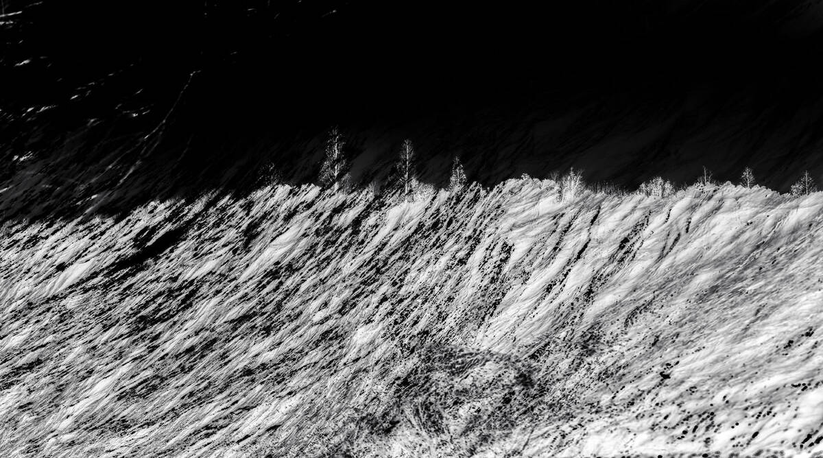 Inkscapes 自然在作画