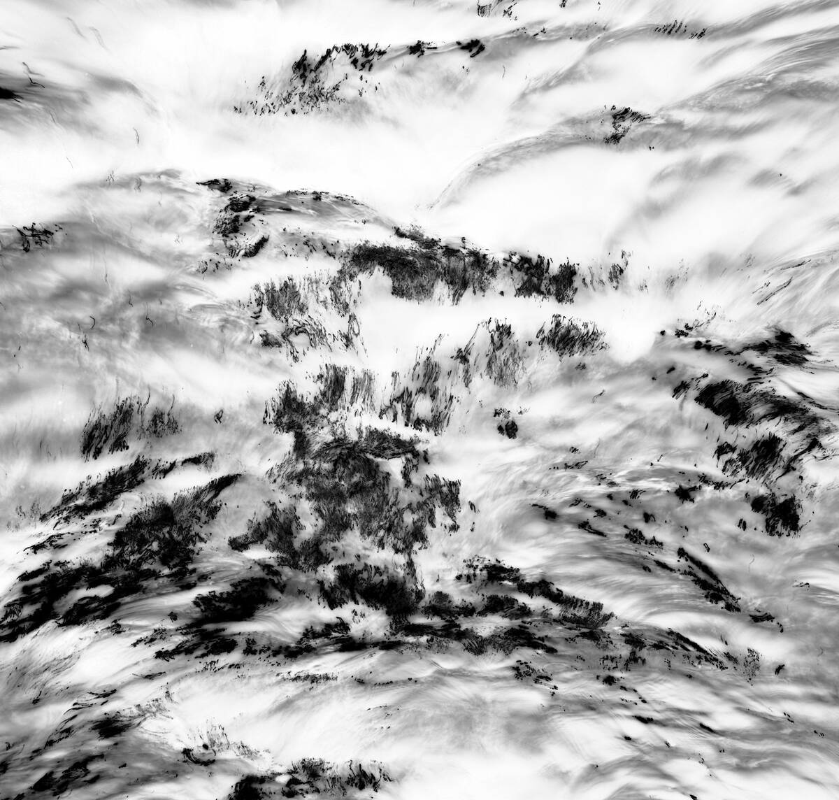 Inkscapes 自然在作画