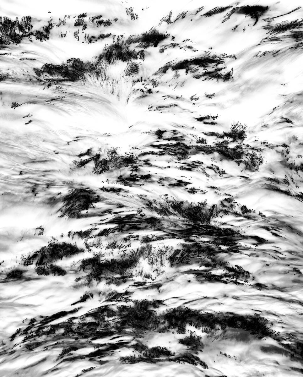 Inkscapes 自然在作画