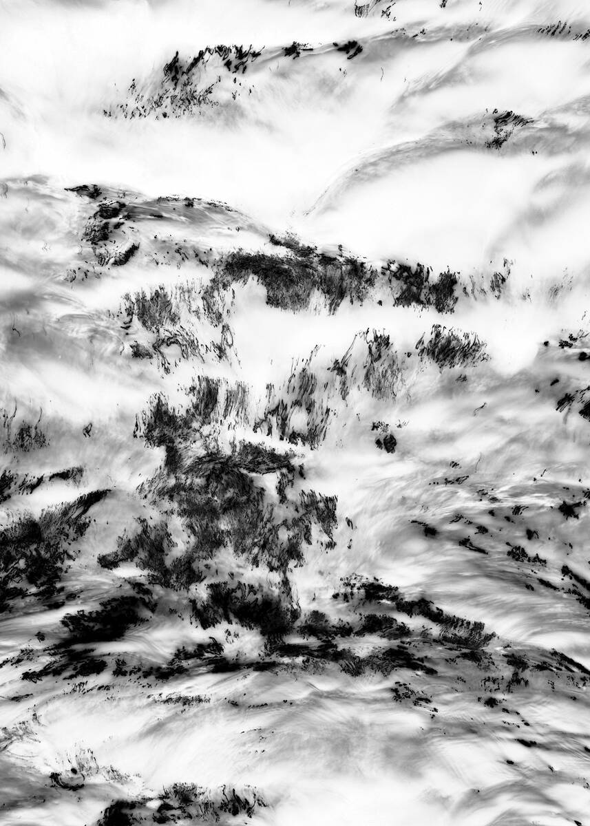 Inkscapes 自然在作画