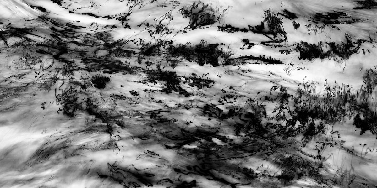 Inkscapes 自然在作画