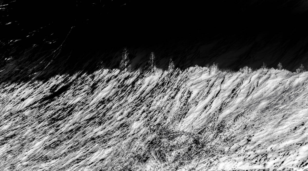 Inkscapes 自然在作画