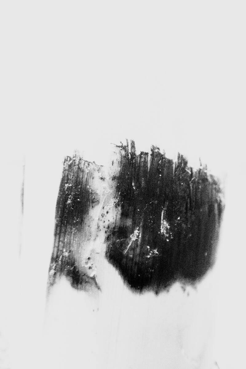 Plantain Inking 芭蕉的泼墨
