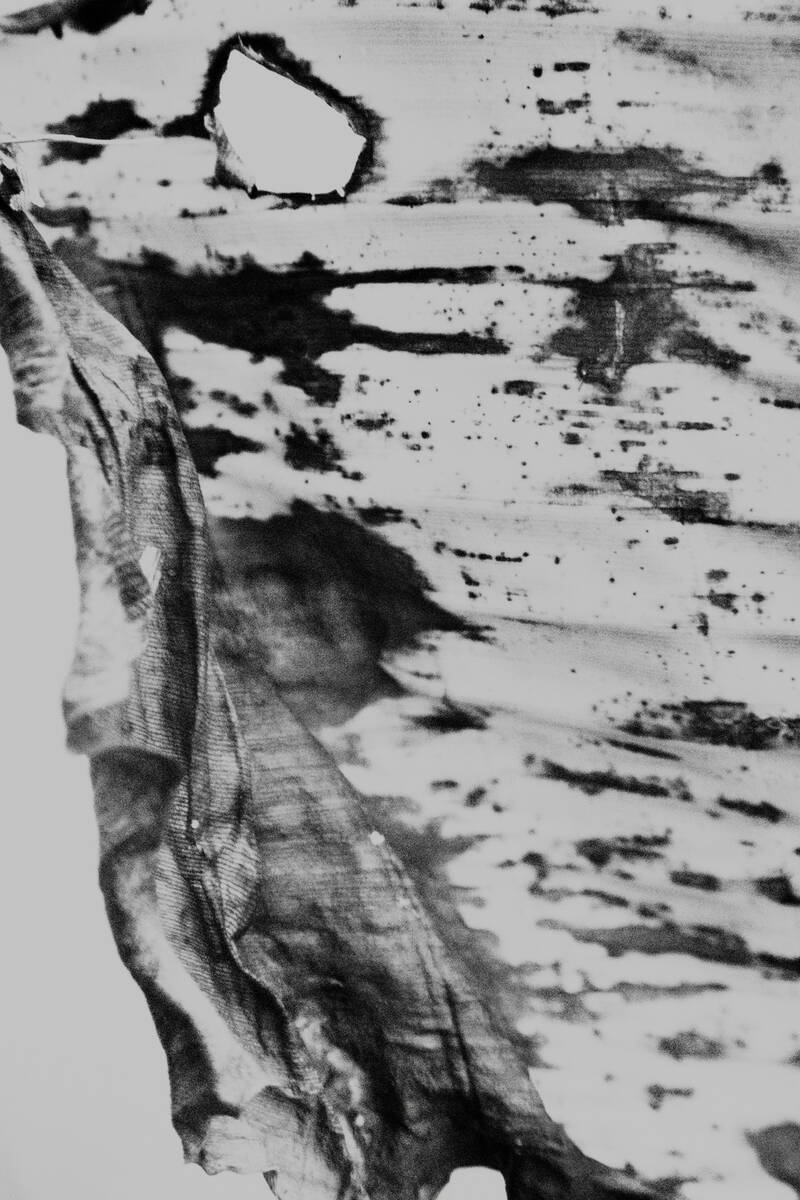 Plantain Inking 芭蕉的泼墨