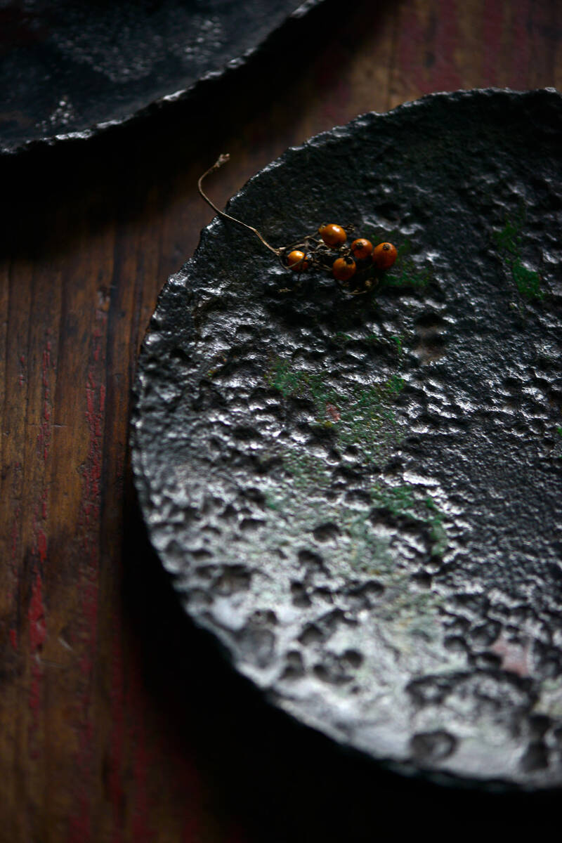 The Art of Iron 李共标铁艺