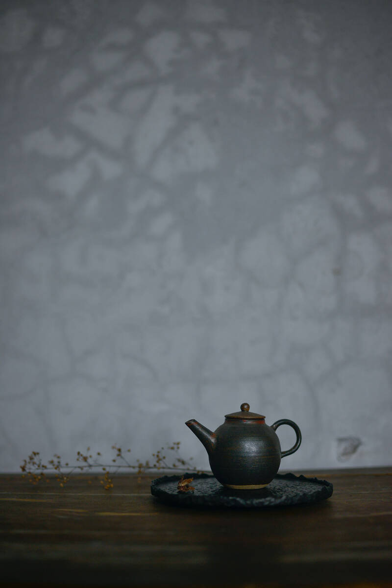 The Art of Iron 李共标铁艺