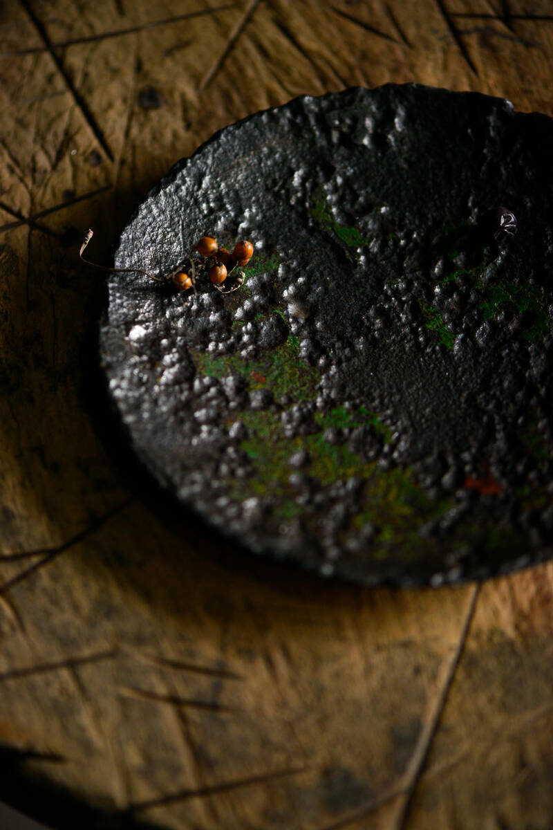 The Art of Iron 李共标铁艺