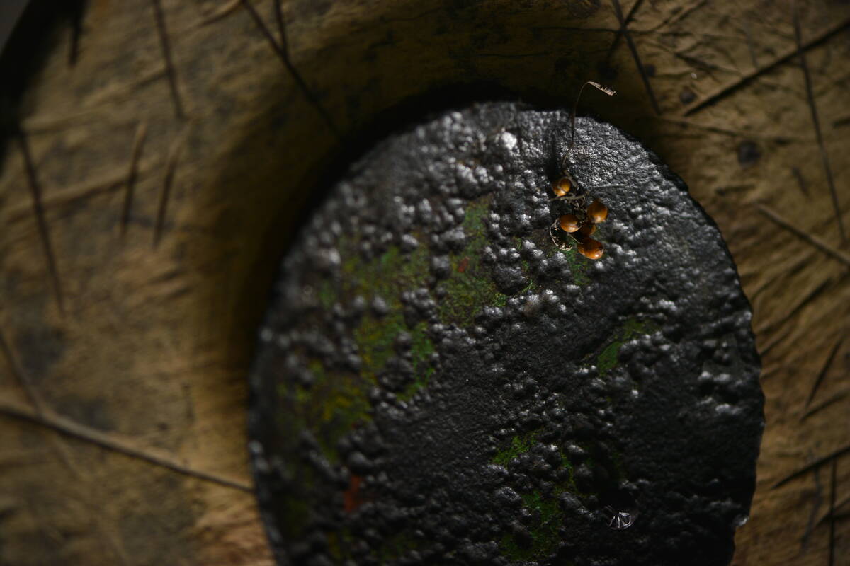 The Art of Iron 李共标铁艺