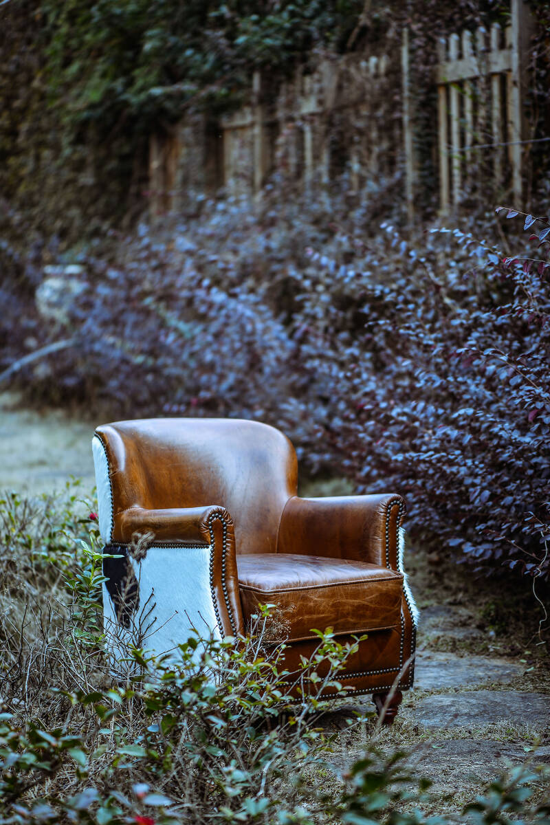 冬日里骄傲的坐骑 Seated Under a Wintersun
