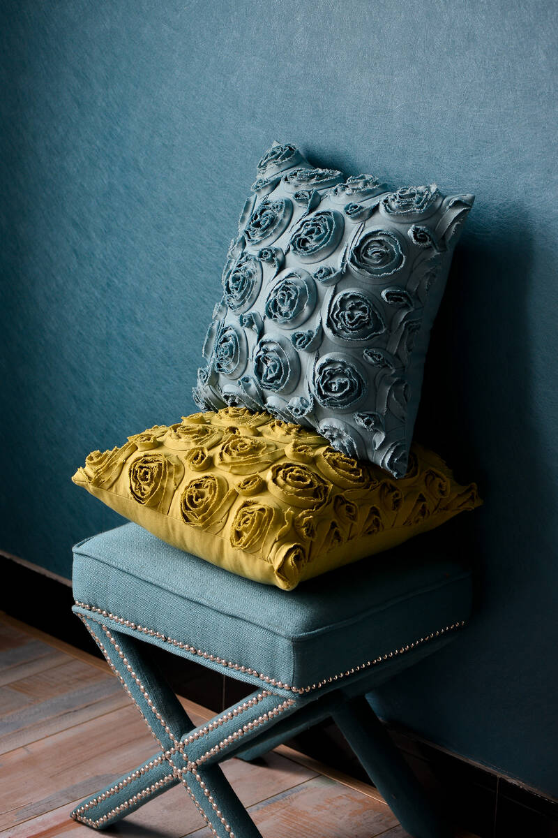 Zoe's Cushions