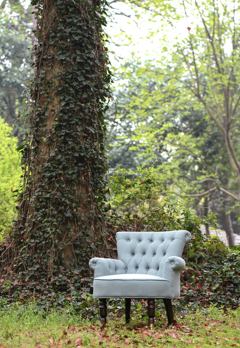 Chairs Outdoor