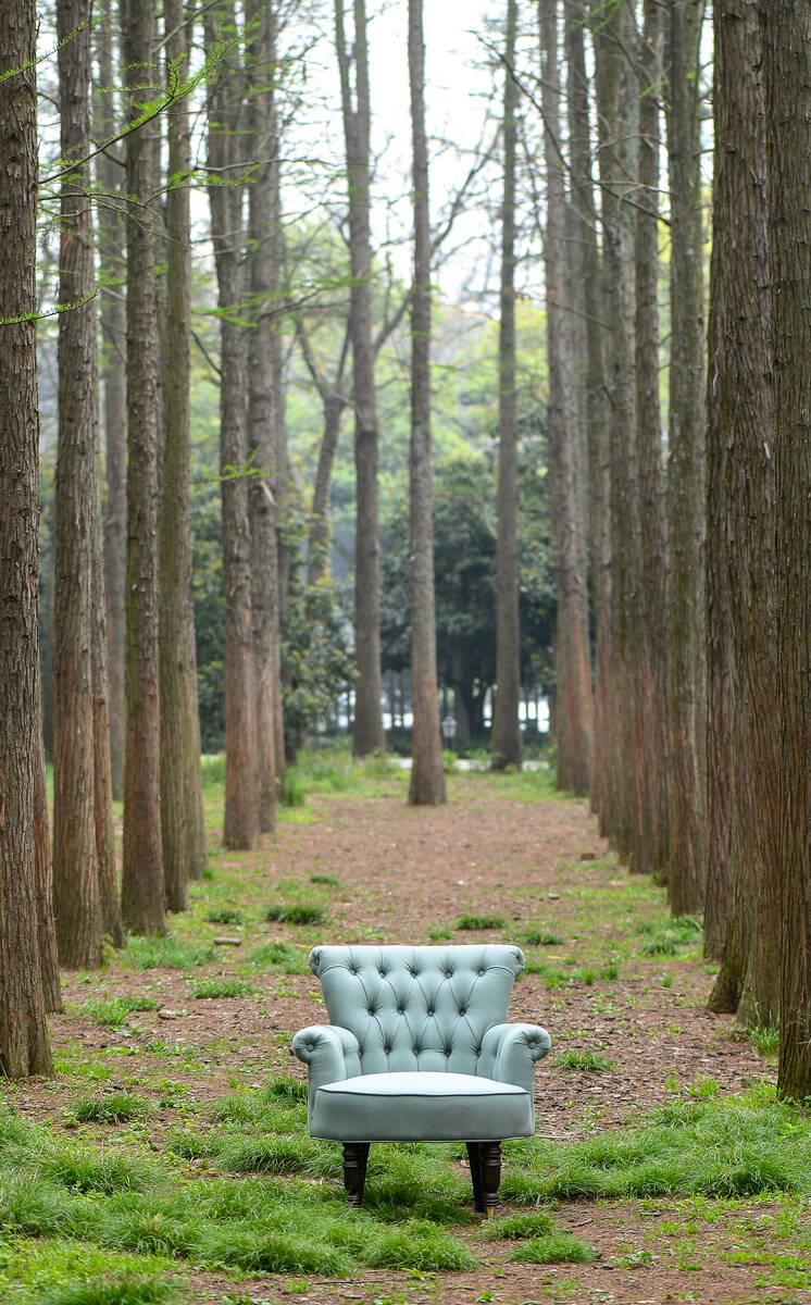 Chairs Outdoor