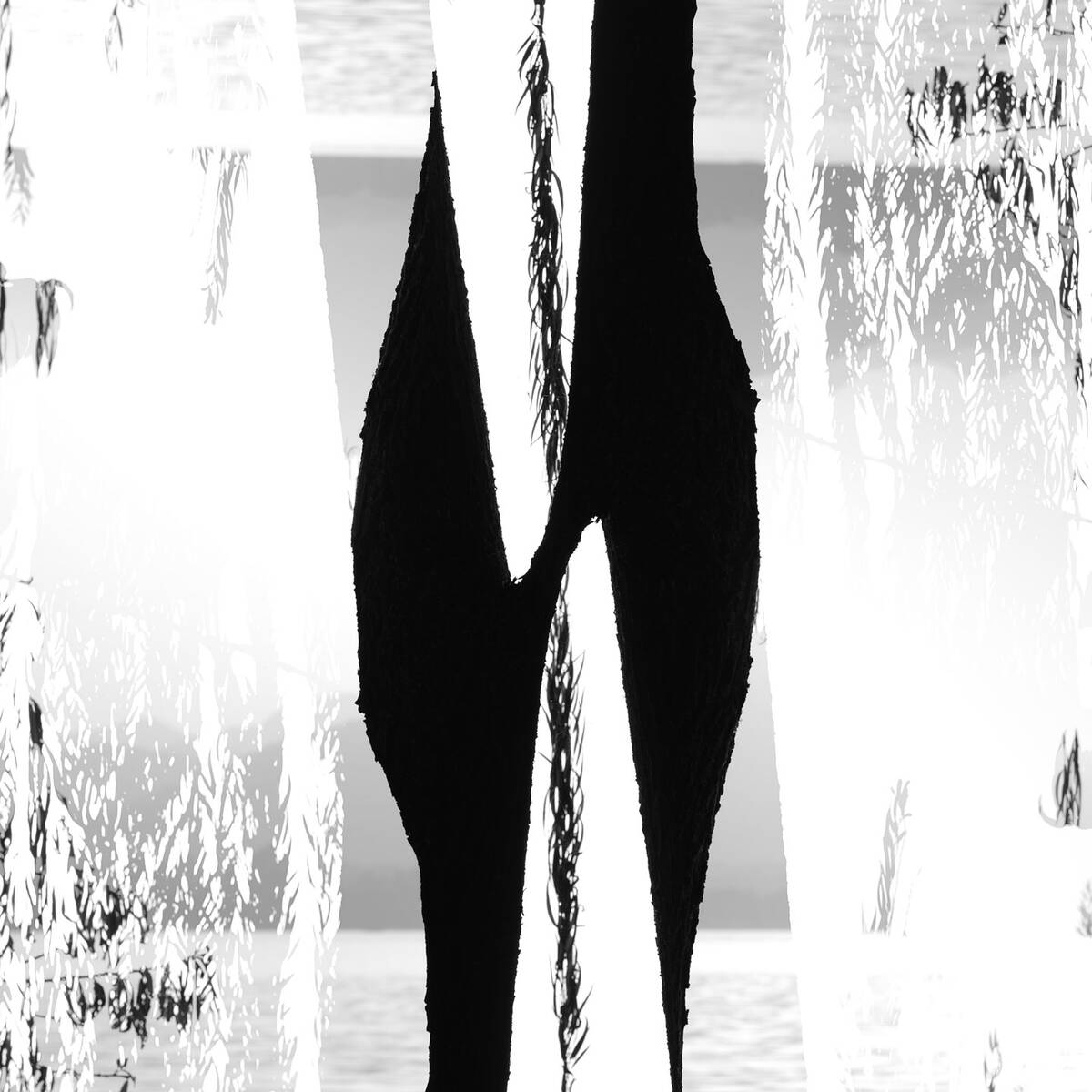 In Rhytms of Light and Darkness 在光明与黑暗的节奏中交织