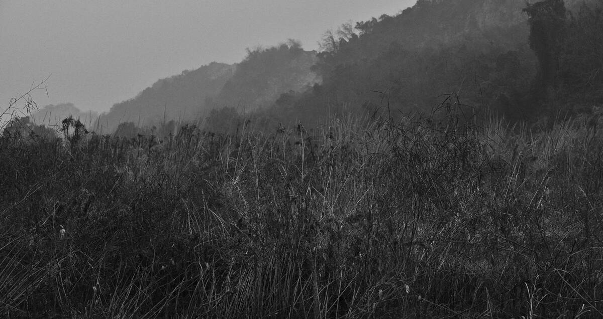Seasons of Fissures 四野皆是魂