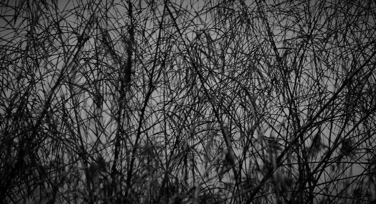 Seasons of Fissures 四野皆是魂
