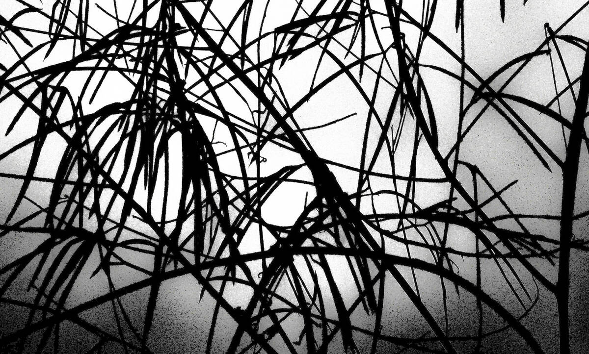 Seasons of Fissures 四野皆是魂