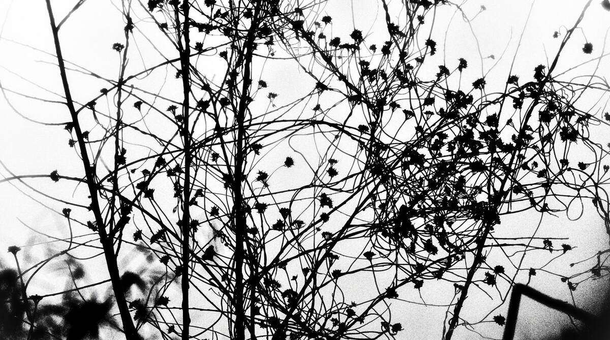 Seasons of Fissures 四野皆是魂