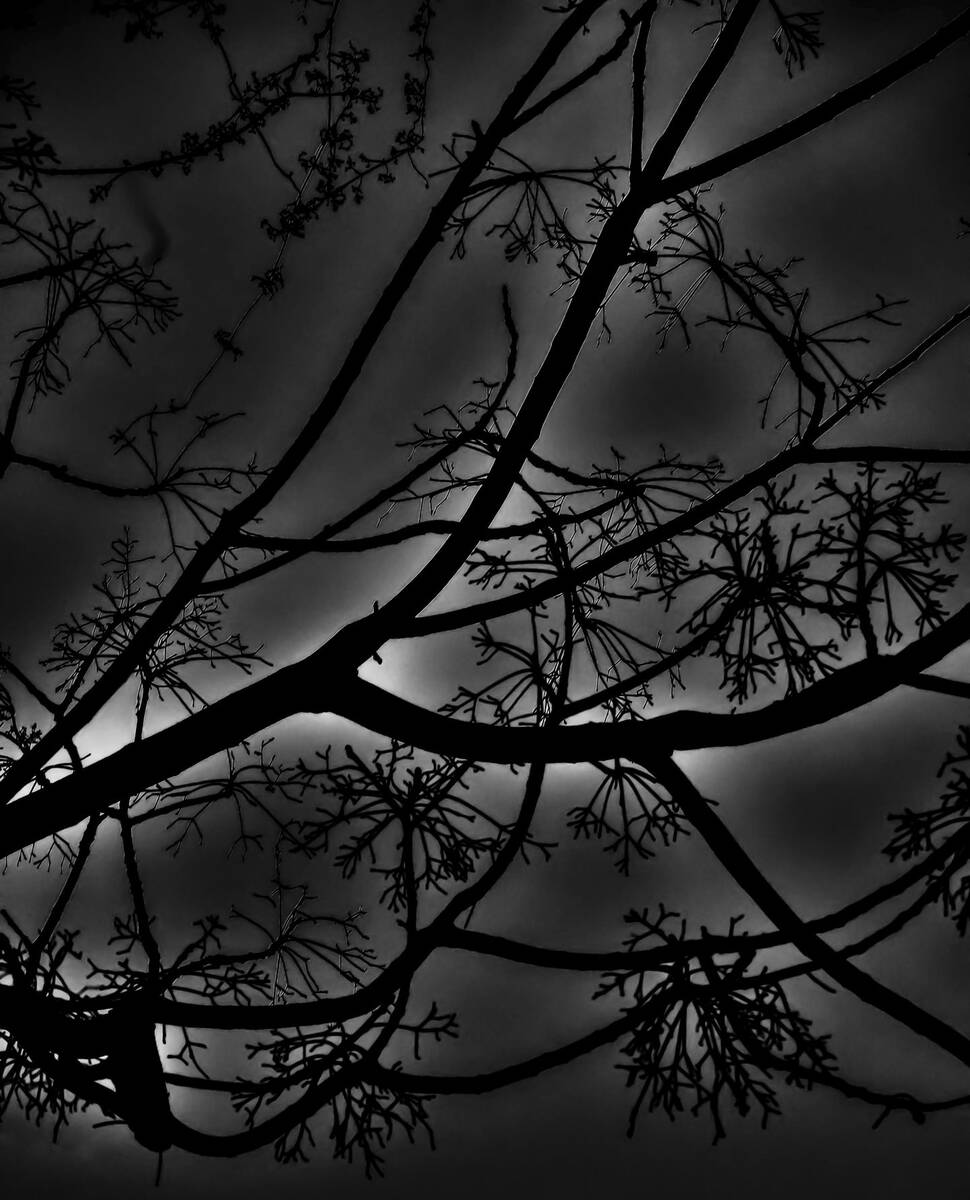 Seasons of Fissures 四野皆是魂