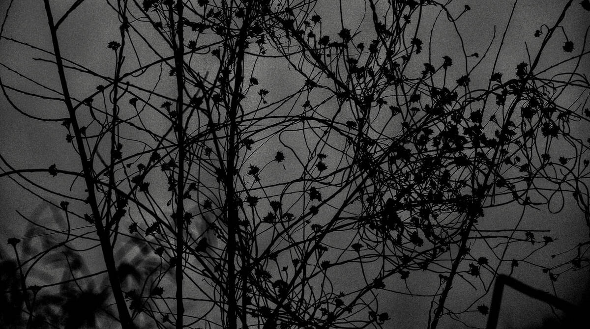 Seasons of Fissures 四野皆是魂