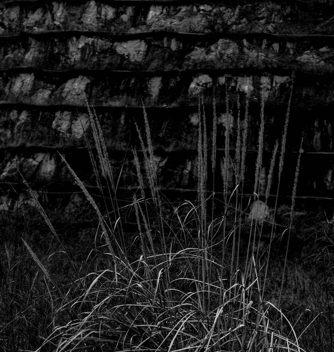 Seasons of Fissures 四野皆是魂