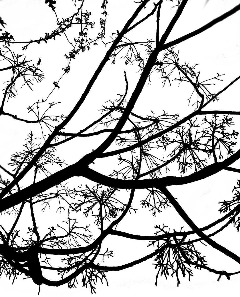Seasons of Fissures 四野皆是魂