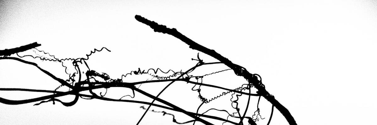 Seasons of Fissures 四野皆是魂