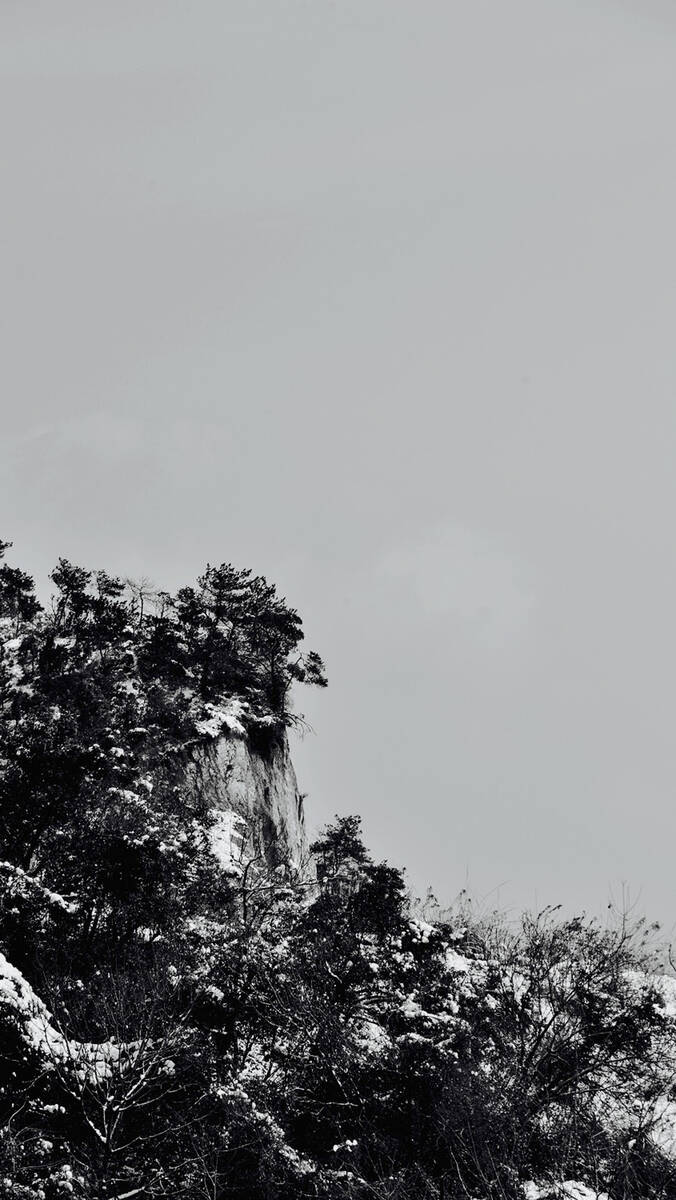 Seasons of Fissures 四野皆是魂