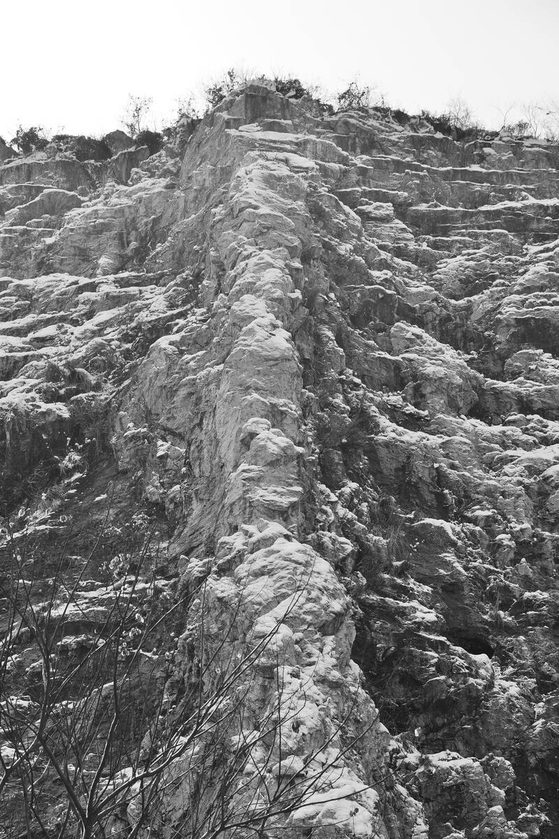 Seasons of Fissures 四野皆是魂