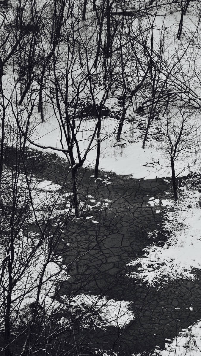 Seasons of Fissures 四野皆是魂