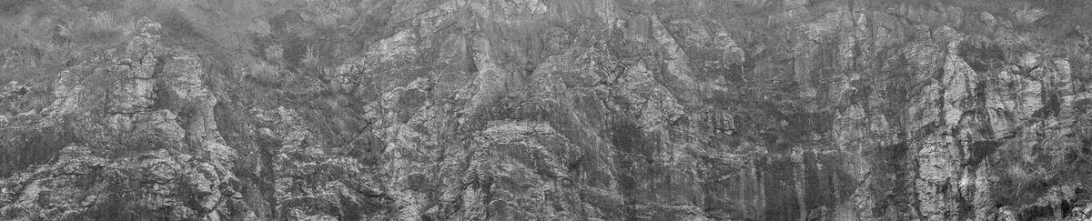 Seasons of Fissures 四野皆是魂