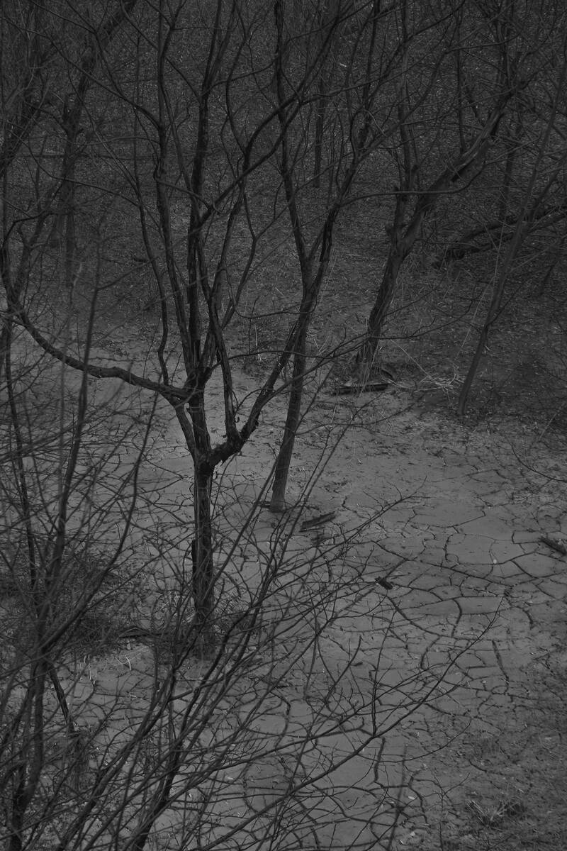 Seasons of Fissures 四野皆是魂