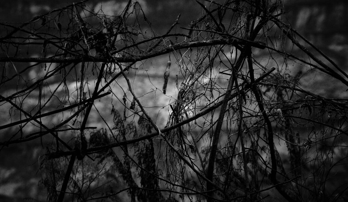 Seasons of Fissures 四野皆是魂