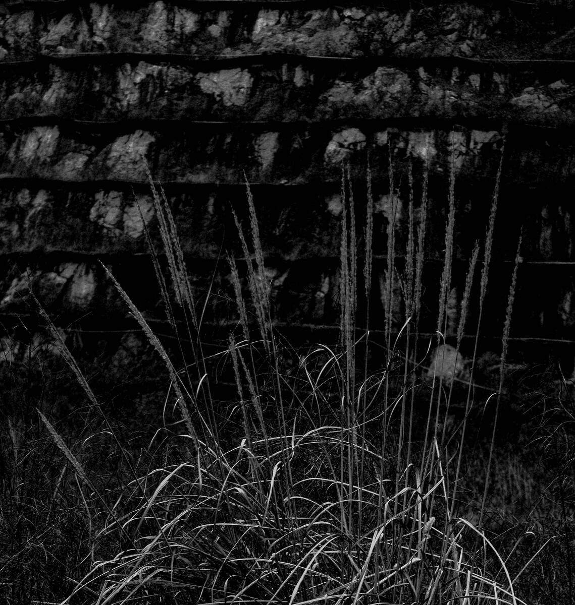 Seasons of Fissures 四野皆是魂