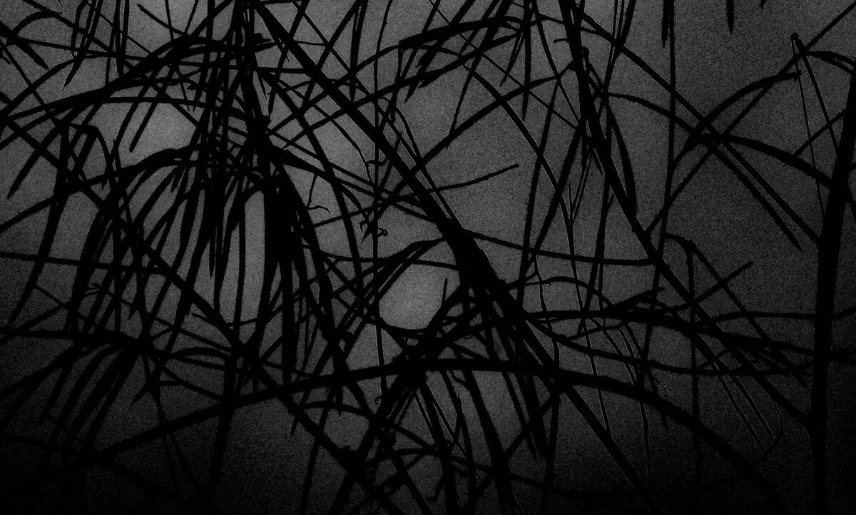 Seasons of Fissures 四野皆是魂