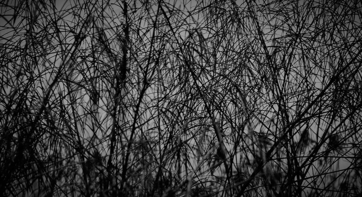 Seasons of Fissures 四野皆是魂