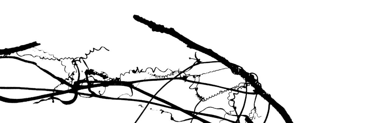 Seasons of Fissures 四野皆是魂