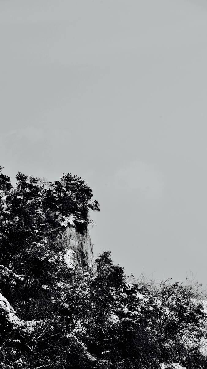 Seasons of Fissures 四野皆是魂