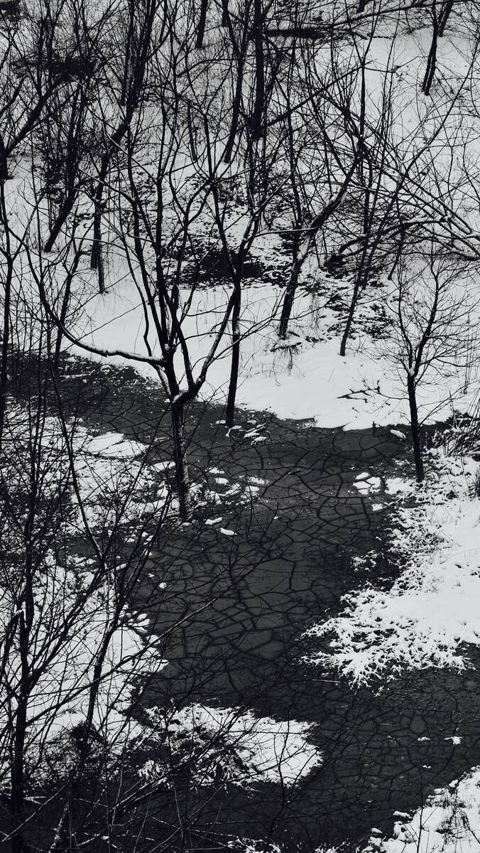 Seasons of Fissures 四野皆是魂