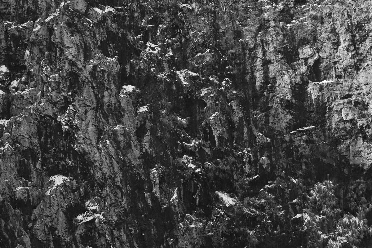 Seasons of Fissures 四野皆是魂