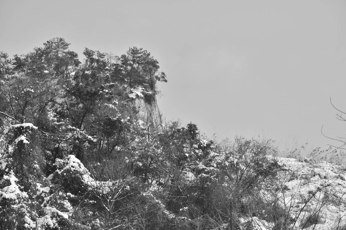 Seasons of Fissures 四野皆是魂