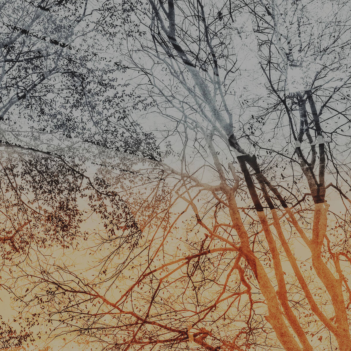 Autumnal Farewells 留秋